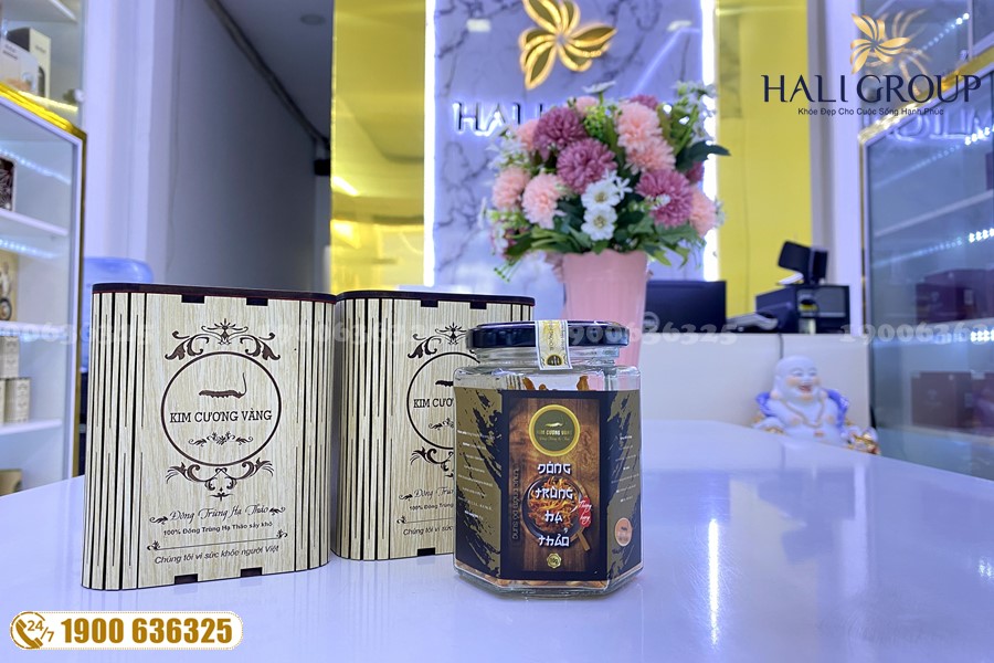 Đông trùng hạ thảo – bài thuốc vàng trong chuyện bồi bổ sức khỏe