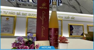 Giải đáp câu hỏi thường gặp khi sử dụng nước uống Hebora Collagen Enrich của Nhật