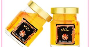 Đại lý Yến Đông Trùng Kim Cương Vàng chính hãng